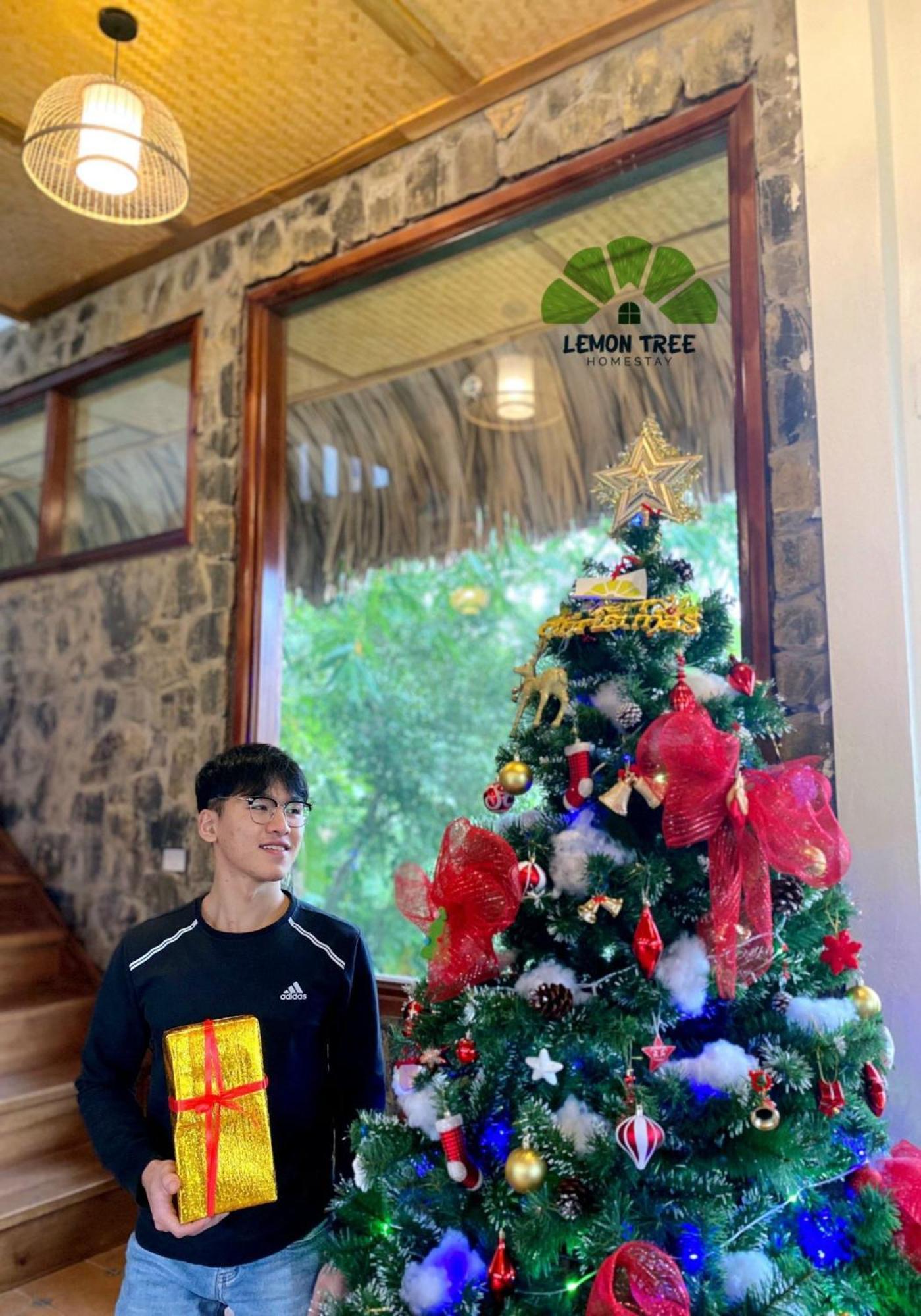 Lemon Tree Homestay Tam Coc Νιν Μπιν Εξωτερικό φωτογραφία