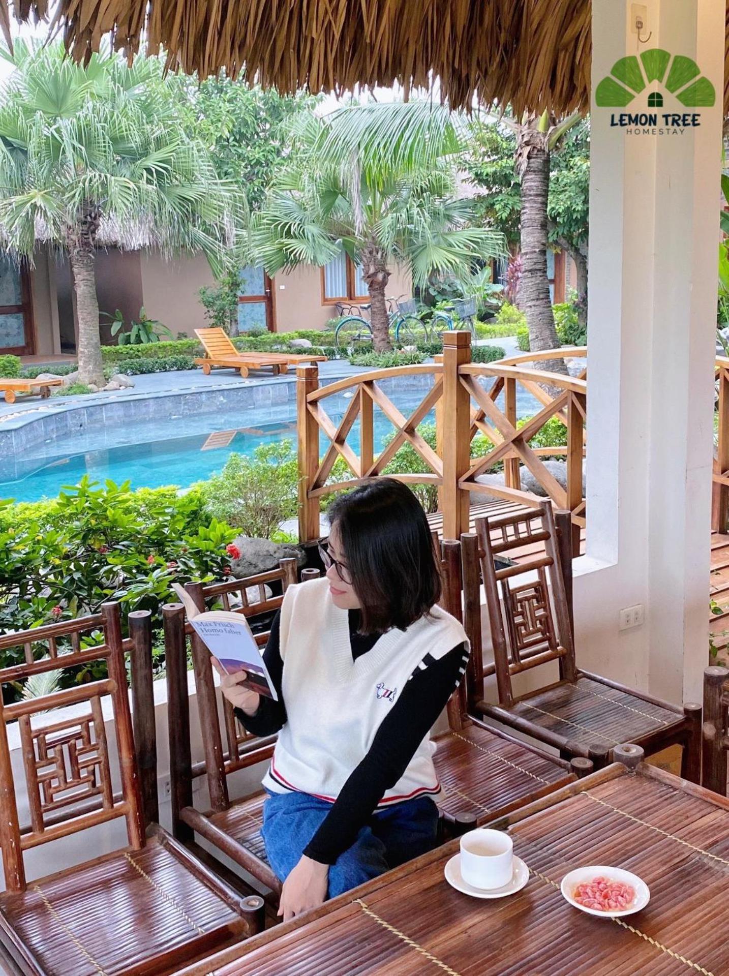 Lemon Tree Homestay Tam Coc Νιν Μπιν Εξωτερικό φωτογραφία