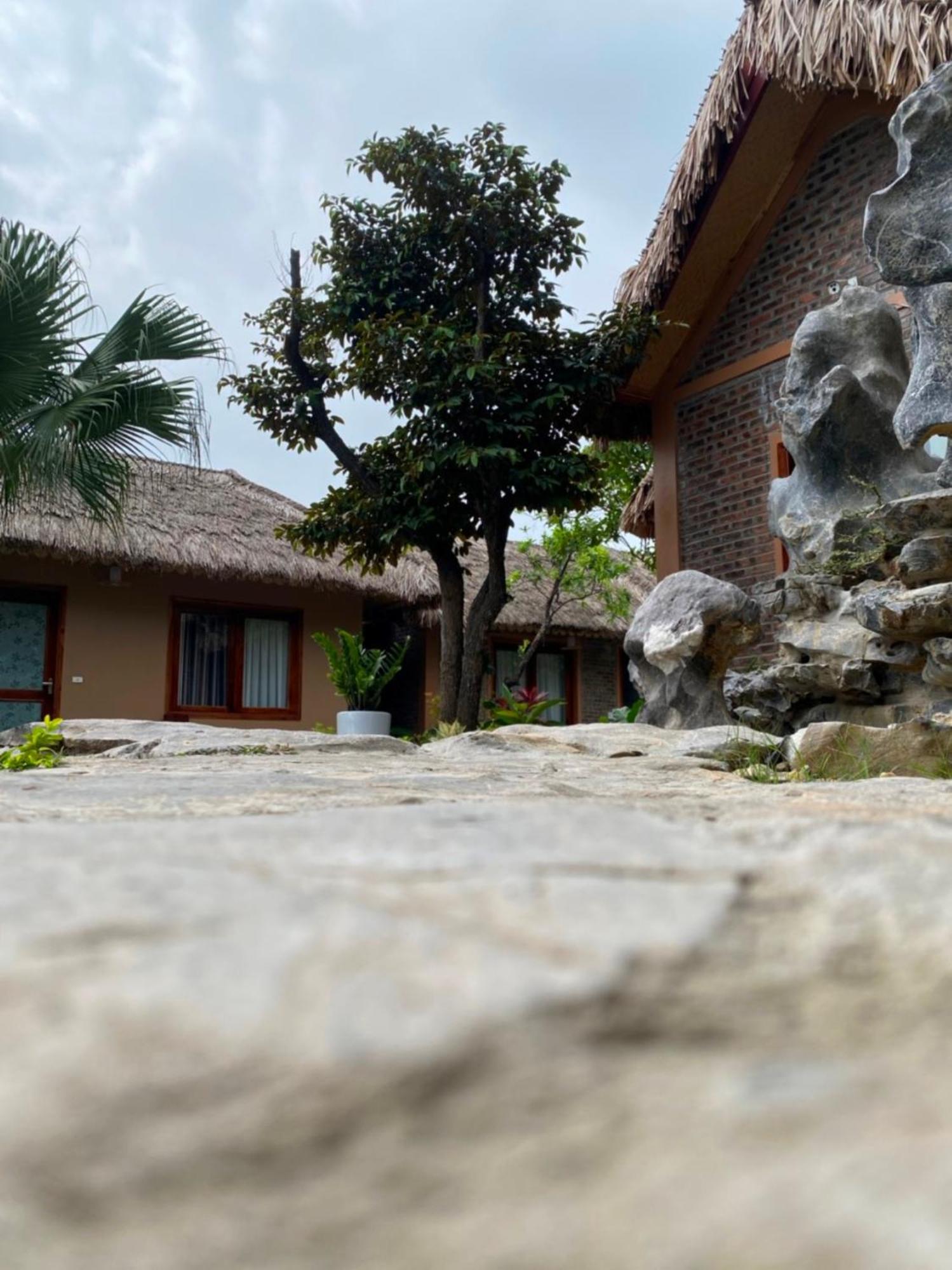 Lemon Tree Homestay Tam Coc Νιν Μπιν Εξωτερικό φωτογραφία
