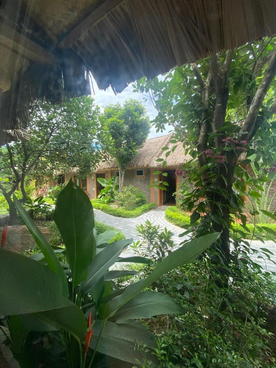 Lemon Tree Homestay Tam Coc Νιν Μπιν Εξωτερικό φωτογραφία